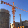 Serviço de guindaste de torre Hammerhead Topkit em fábrica de cimento