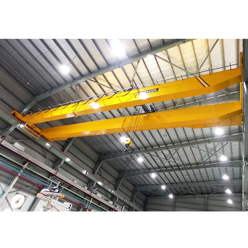 Tavol Brand LH Modelo Double Beam Bridge Crane Sale Popular com bom preço 