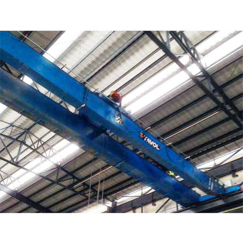 Tavol Brand LH Modelo Double Beam Bridge Crane Sale Popular com bom preço 